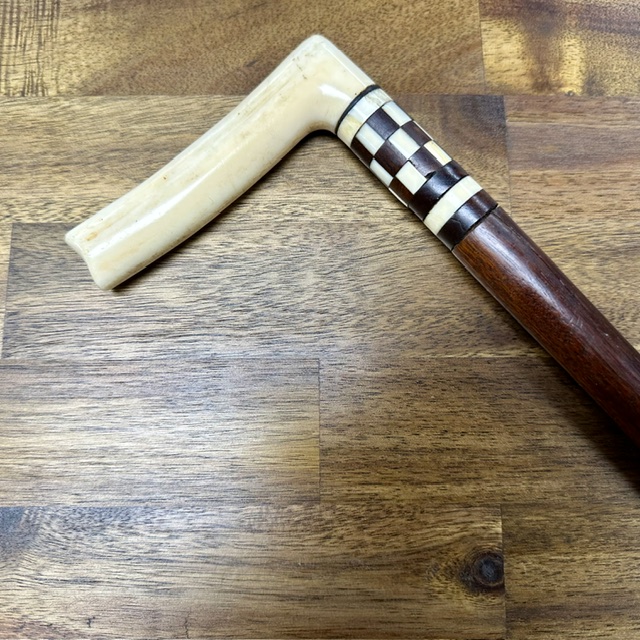 Walking Stick 3.jpeg